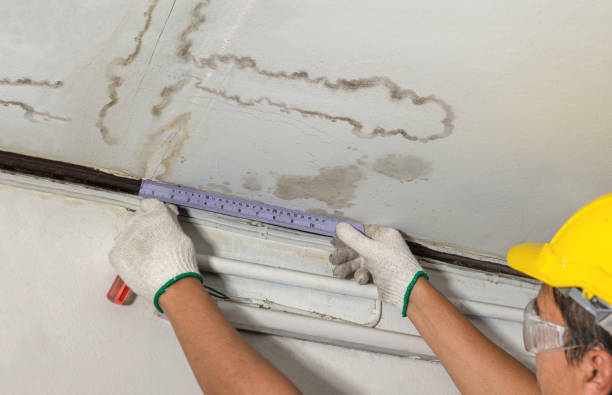 Reliable Water Damage contractor in Oak Harbor, OH by Water Damage Irwin